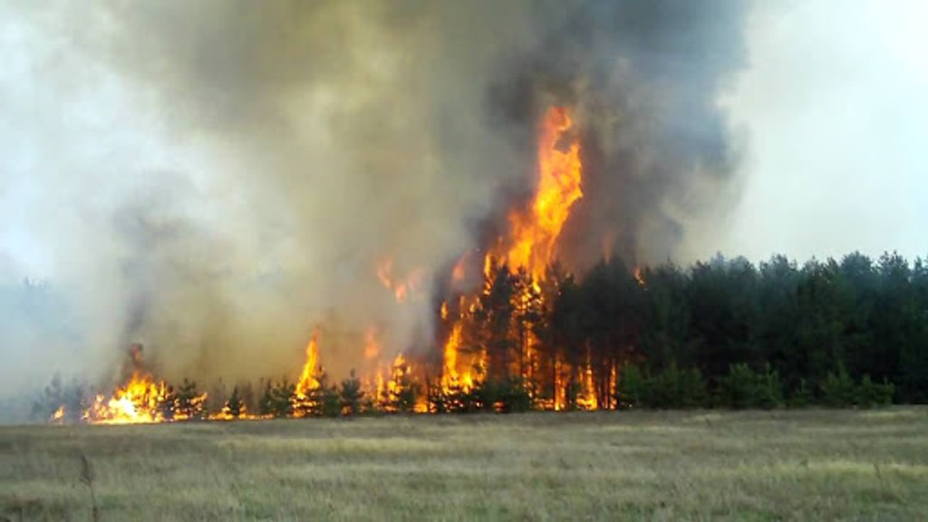 Лісова пожежа в заповіднику під Воронежем стався через навчальних стрільб з вертольота