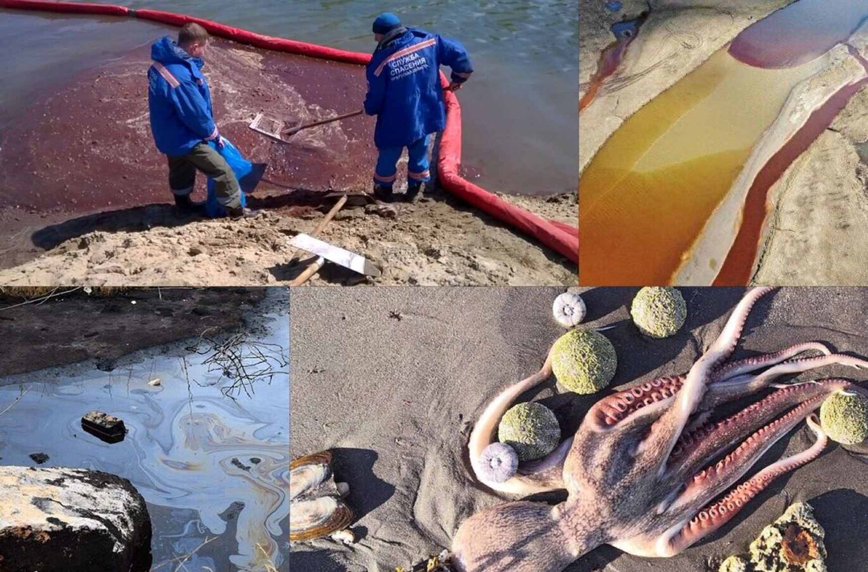 Темні води. 6 найбільших забруднень російських річок і морів за останні півроку