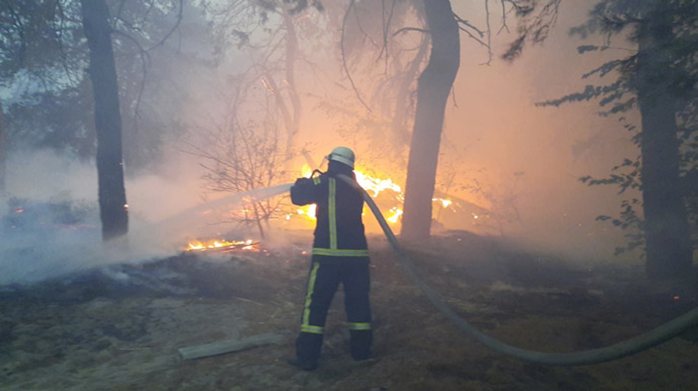 Дев'ять людей загинули і 14 госпіталізовані в результаті лісових пожеж в Луганській області