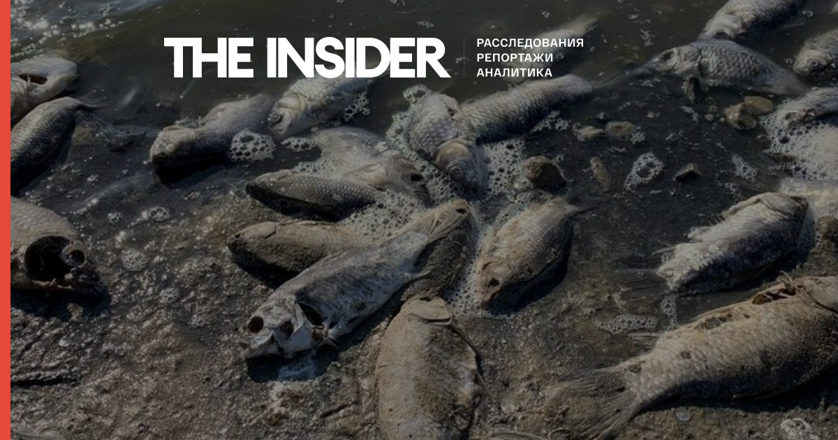 Прокуратура республіки: Причина масової загибелі риби в Калмикії - зниження рівня води