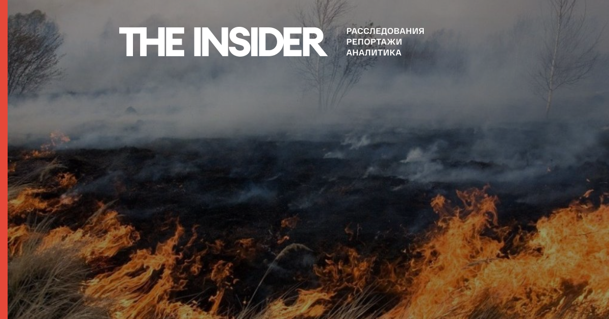 «Пожежники працюють на знос, але ситуація з сезонними спалахами погіршується», - представник Greenpeace про пожежі на Півдні Росії