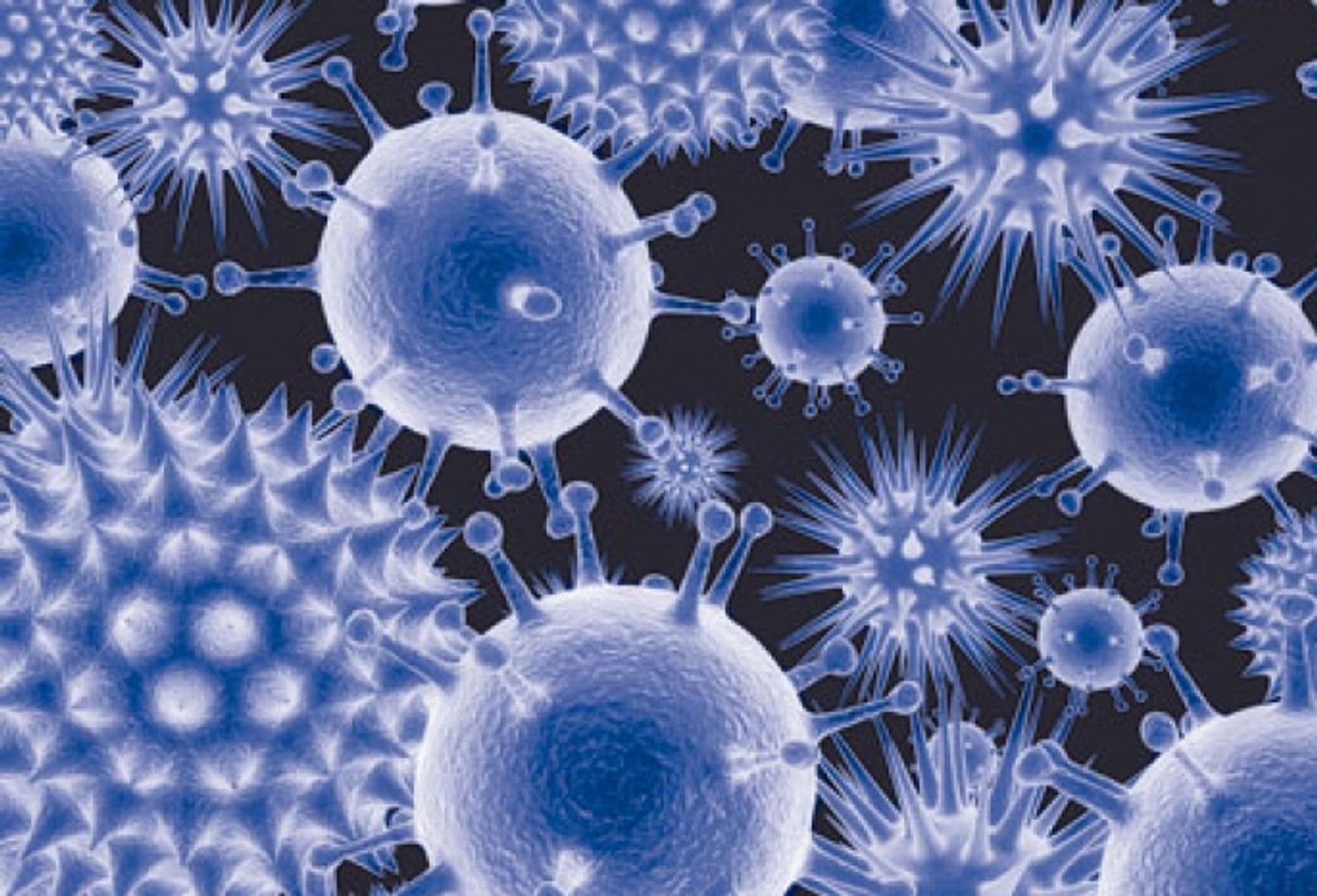 Нобелівську премію з медицини і фізіології вручили за відкриття вірусу гепатиту C