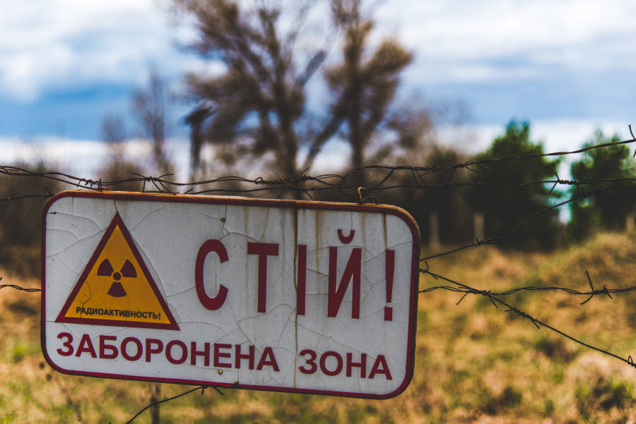 Життя після Прип'яті. Чому Чорнобиль може вважатися раєм на Землі