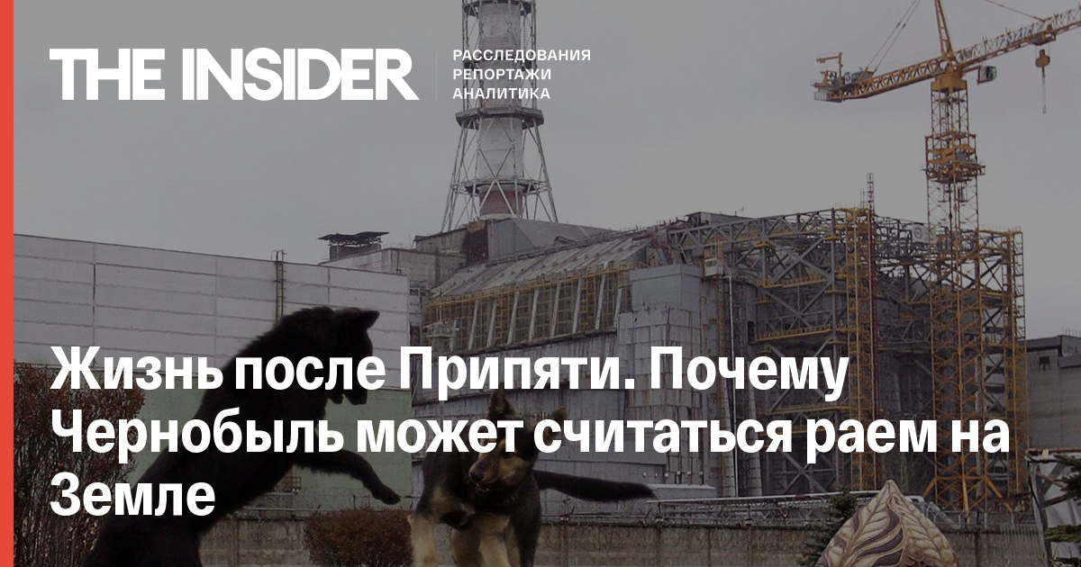 Життя після Прип'яті. Чому Чорнобиль може вважатися раєм на Землі