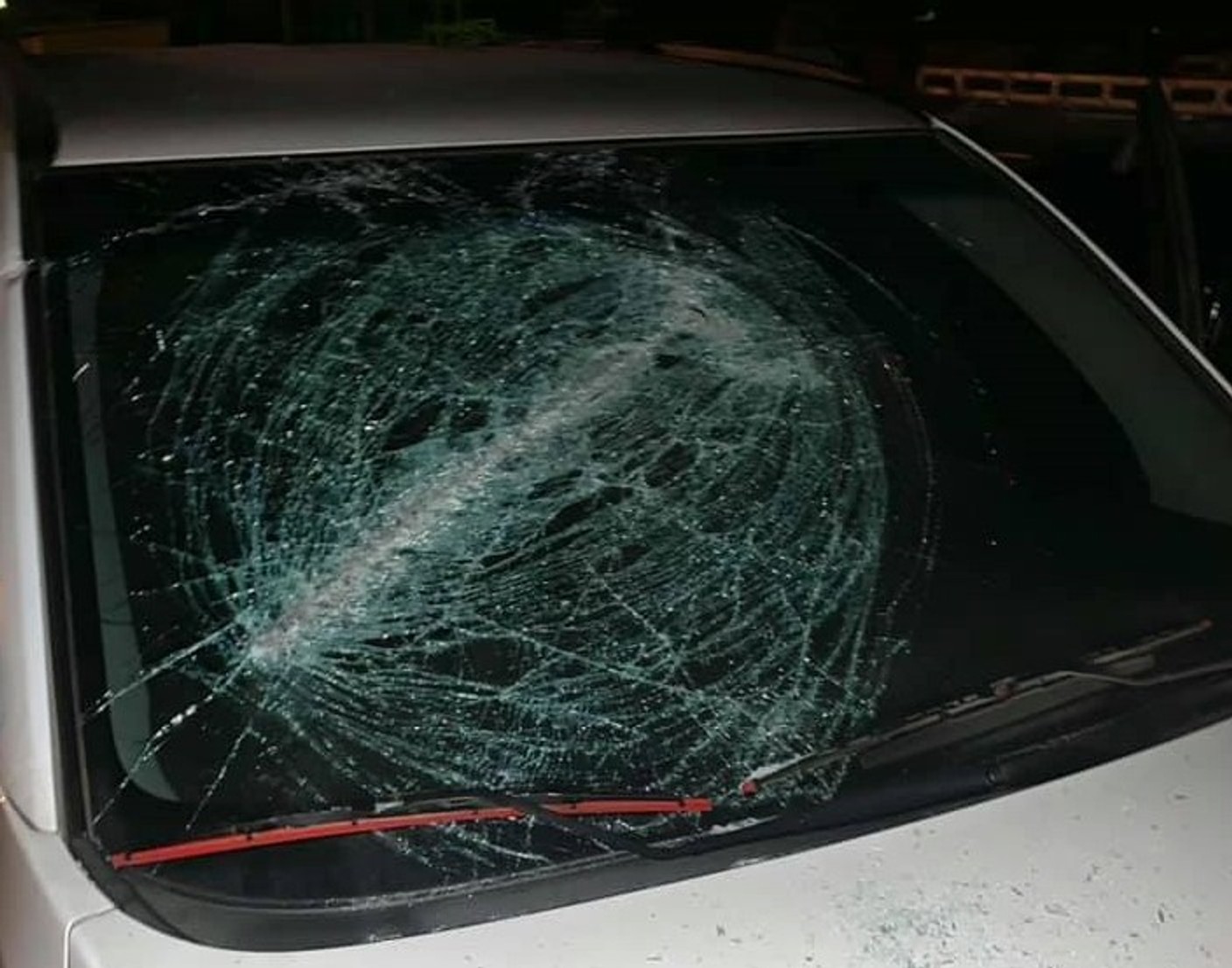 В Удмуртії розбили машину, на якій приїхали Альохіна, Штейн і Шалина