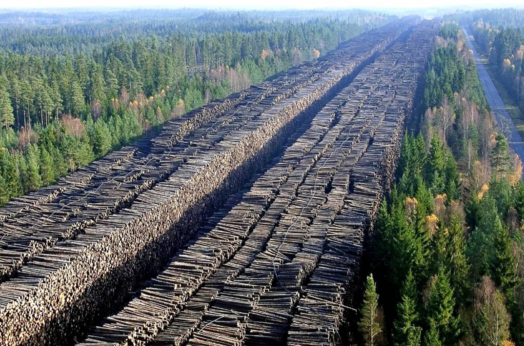 Екс-прокурор Іркутська затриманий у справі про хабар за пособництво в продажу лісу в Китай