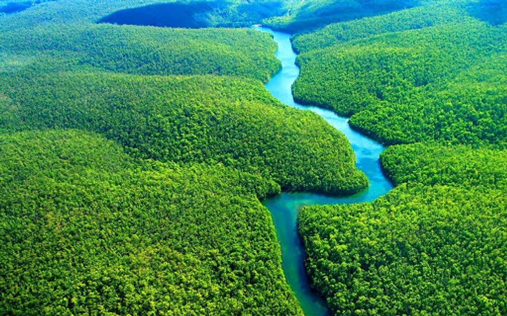 На Facebook незаконно продають ділянки лісів Амазонії. Соцмережа не бажає припиняти торгівлю