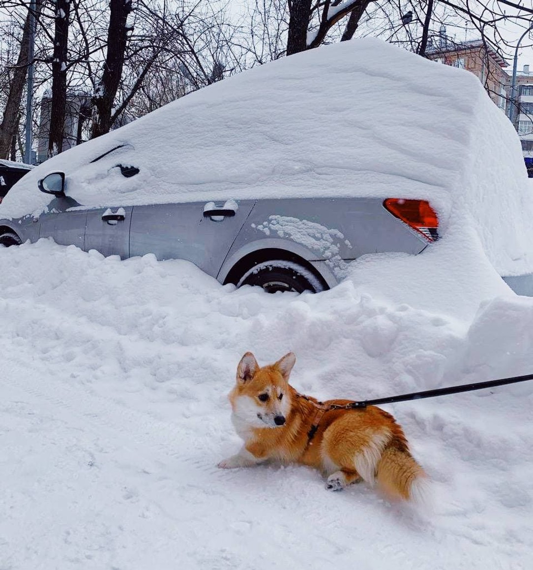 Близько трьох днів знадобиться для збирання снігу, що випав в Москві