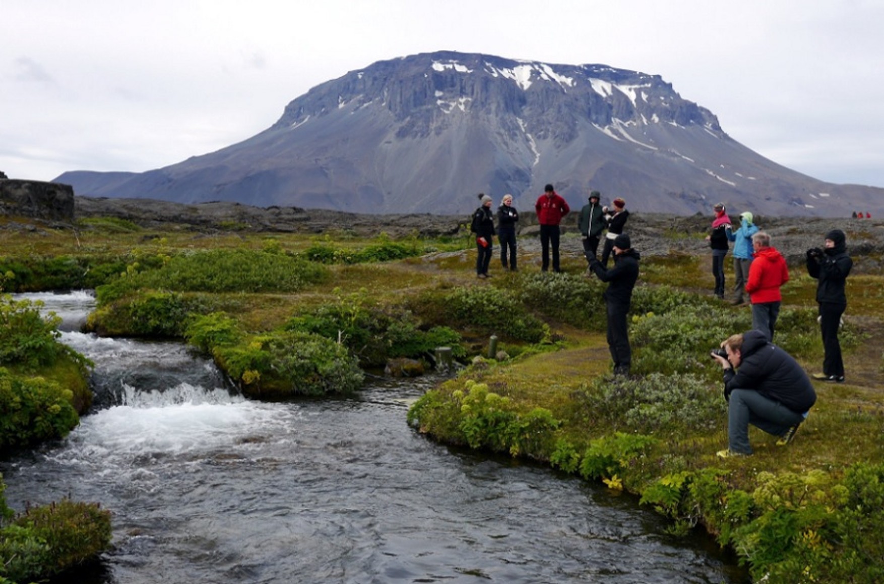 Влада Ісландії відкрили кордони для іноземців, щеплених схваленими в ЄС вакцинами проти COVID-19