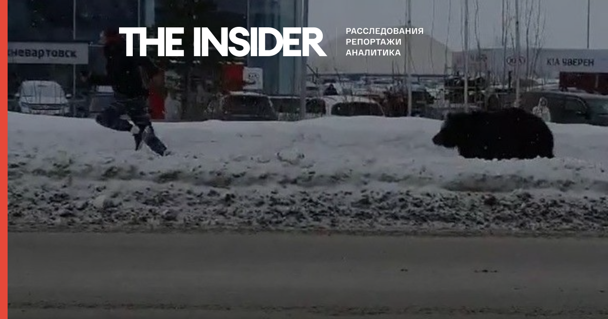 Автобус врятував чоловіка від ведмедя, який вирвався з полону бізнесмена в Нижньовартовську - відео