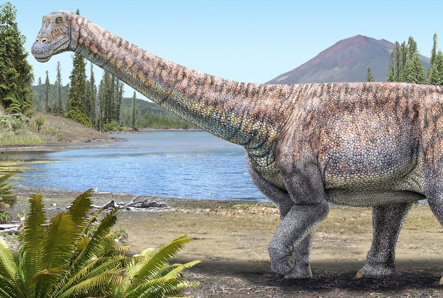 Вчені вперше описали раніше невідомий науці вид динозавра, що жив 66 млн років тому в Чилі