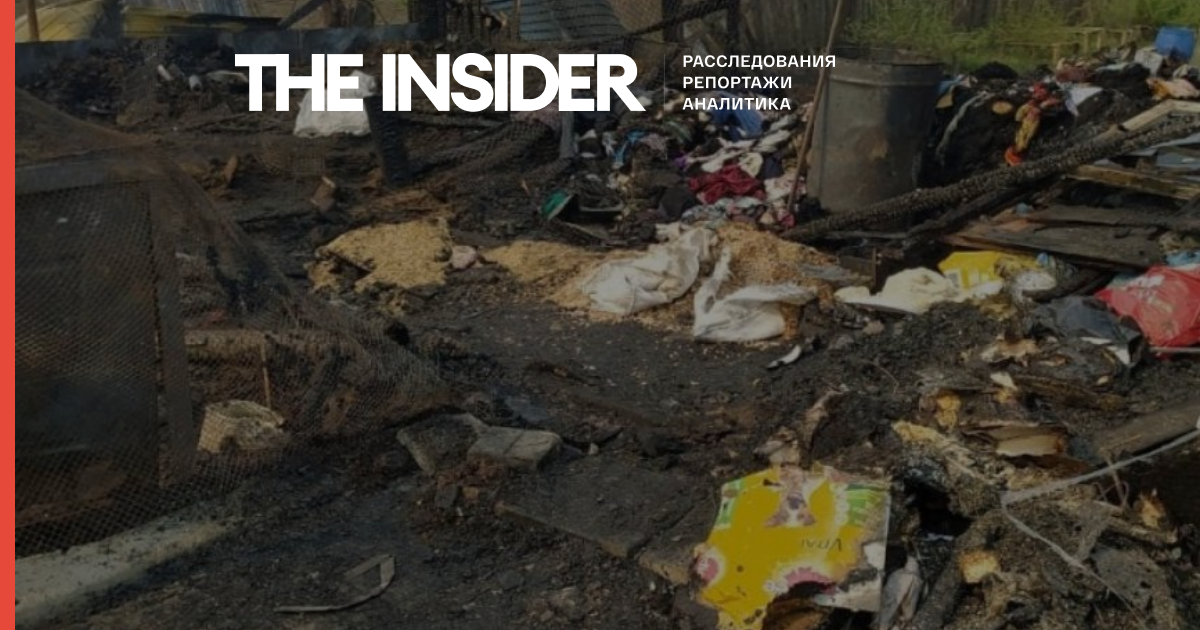 У Свердловській області спалили приватний притулок для тварин, загинули понад 30 собак