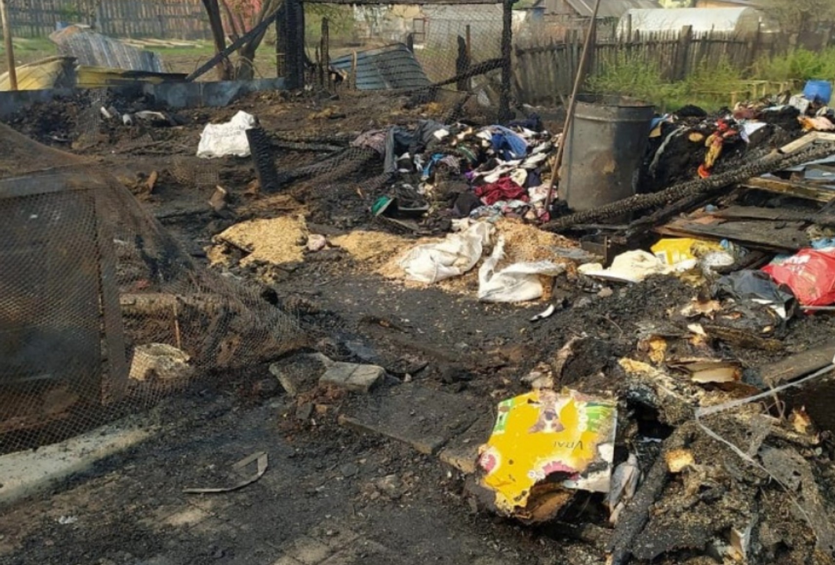 У Свердловській області спалили приватний притулок для тварин, загинули понад 30 собак