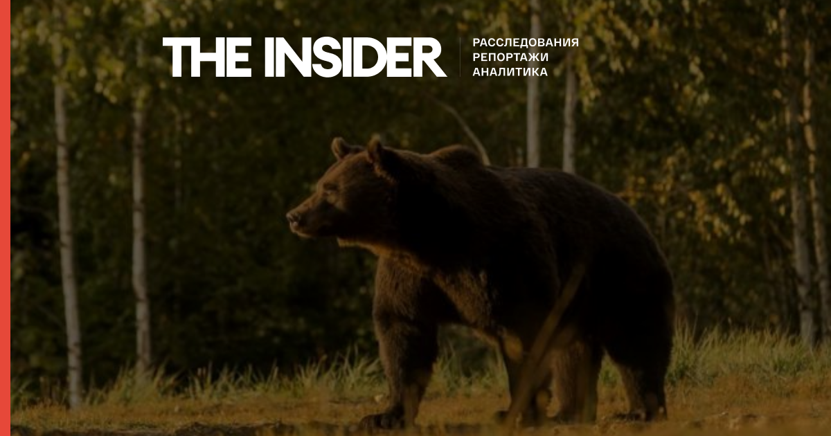 Принца Ліхтенштейну звинуватили у вбивстві найбільшого в Румунії ведмедя
