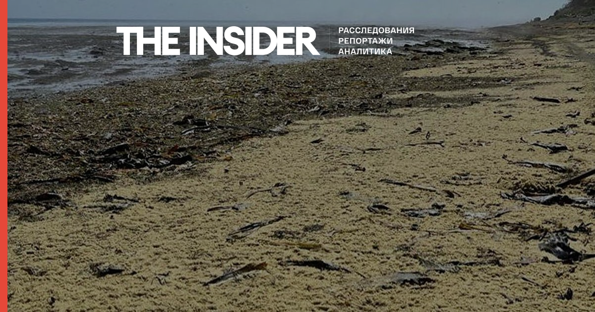 На Сахаліні шторм викинув на берег кілька тонн ікри, яку місцеві використовують як добриво