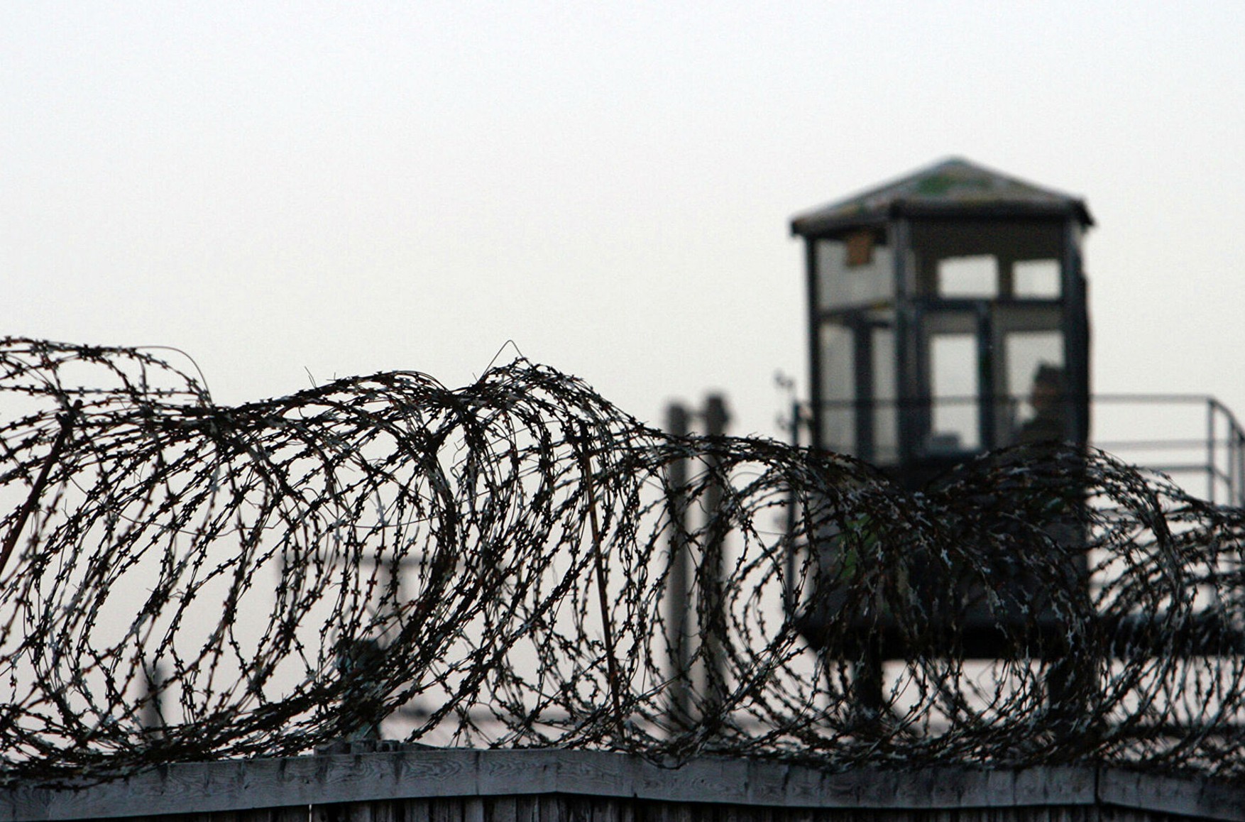 Ув'язнені виправної колонії в Смоленській області оголосили голодування