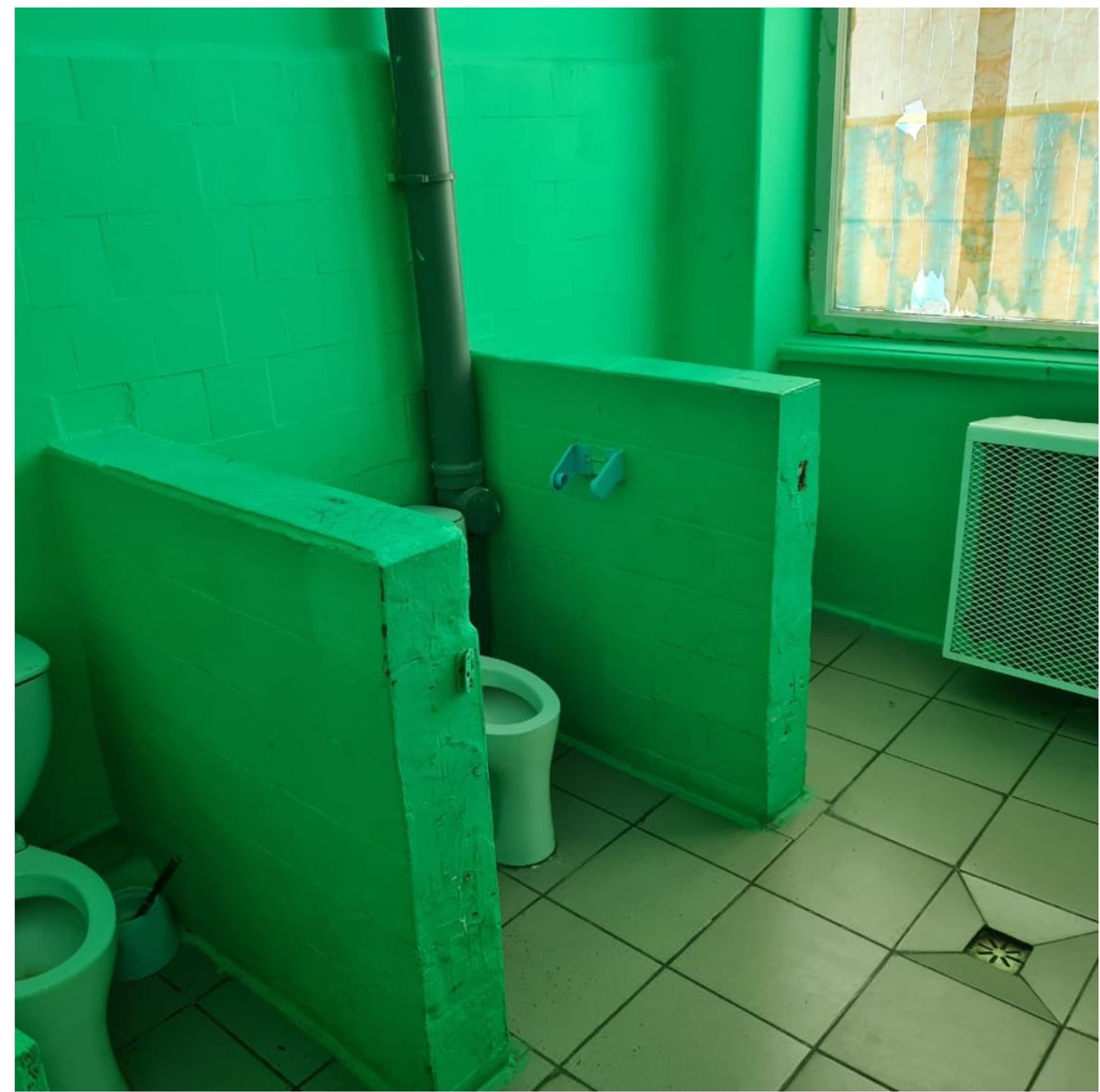«Туалет як з фільму жахів, діти обходять стороною». Російські школярі показали санвузли в своїх школах в рамках конкурсу Domestos