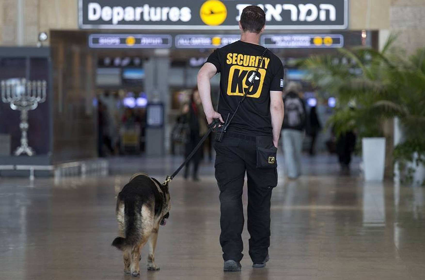 Всі іноземні авіакомпанії продовжують літати до Ізраїлю, незважаючи на ракетний обстріл. Раніше ЗМІ повідомили про припинення рейсів