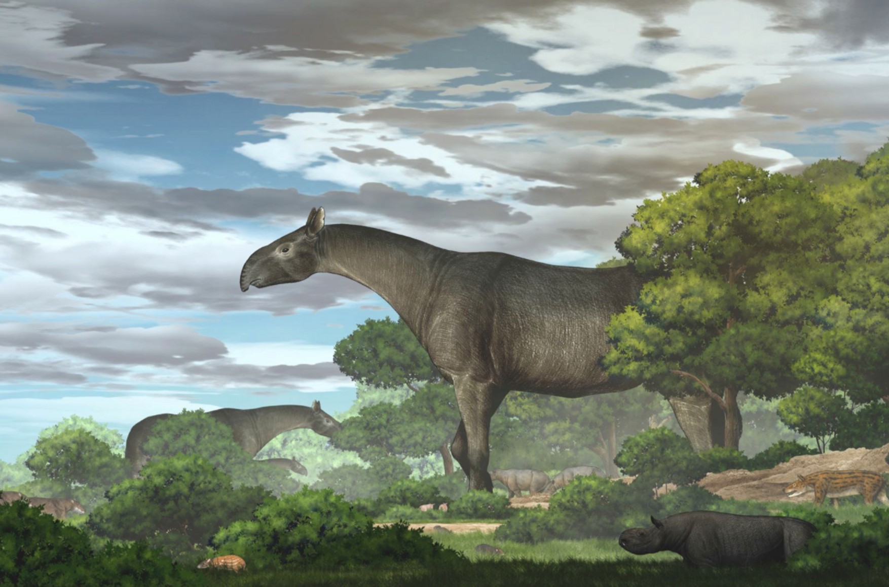 Археологи виявили найбільше ссавець, що жило на Землі, - носорога масою 24 тонни