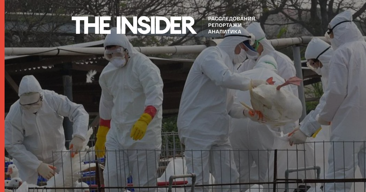 У Китаї виявили перший випадок зараження людини новим штамом пташиного грипу H10N3