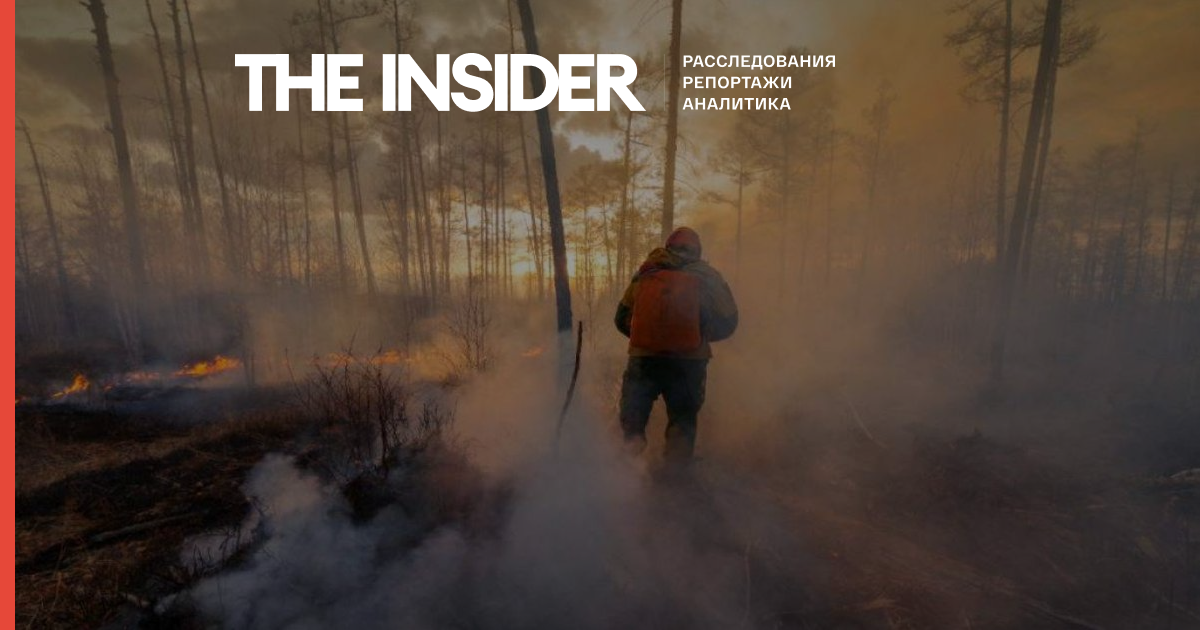 Площа лісових пожеж в Росії перевищила 785 тисяч гектарів