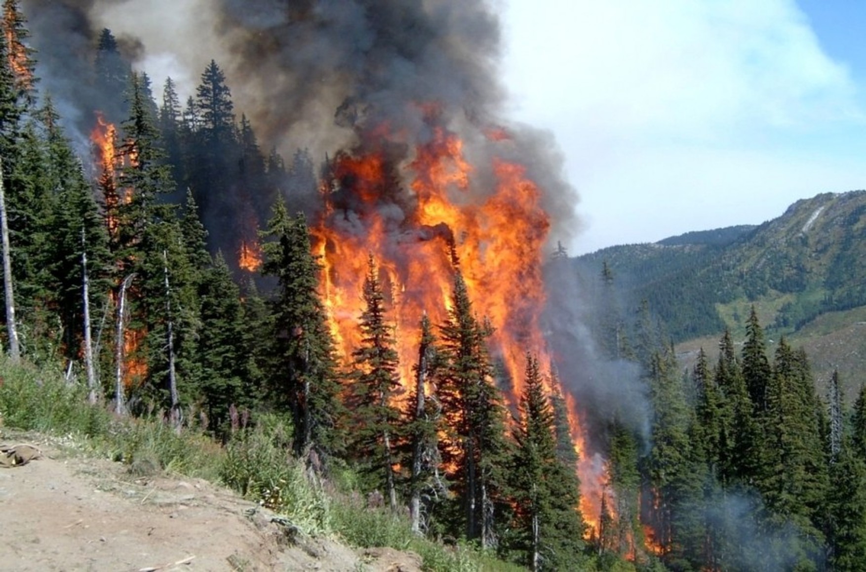 В Якутії згоріло понад мільйон гектарів лісу