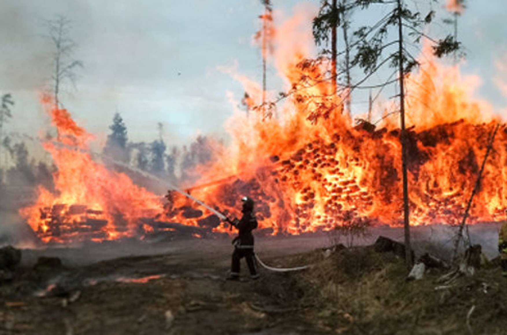 Збиток від лісових пожеж в Якутії перевищив 1 млрд рублів