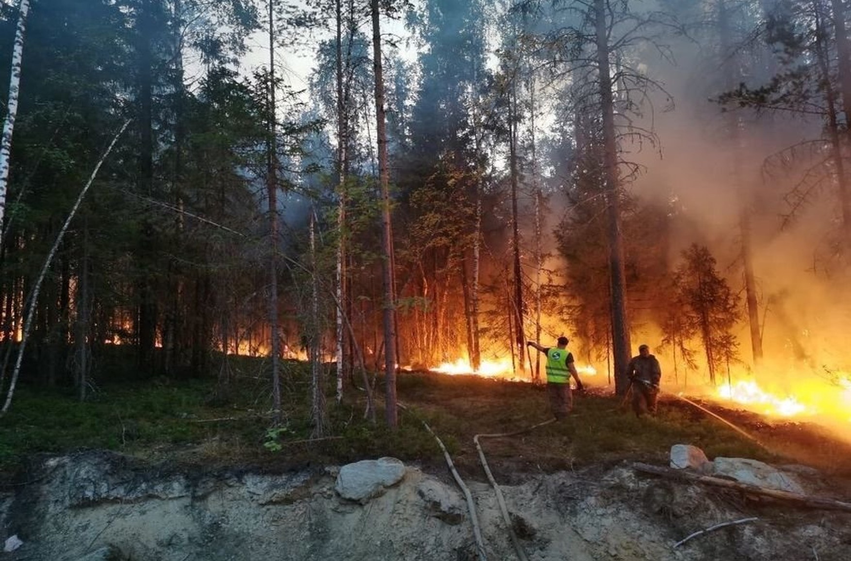 На території Карелії введений режим НС через лісові пожежі