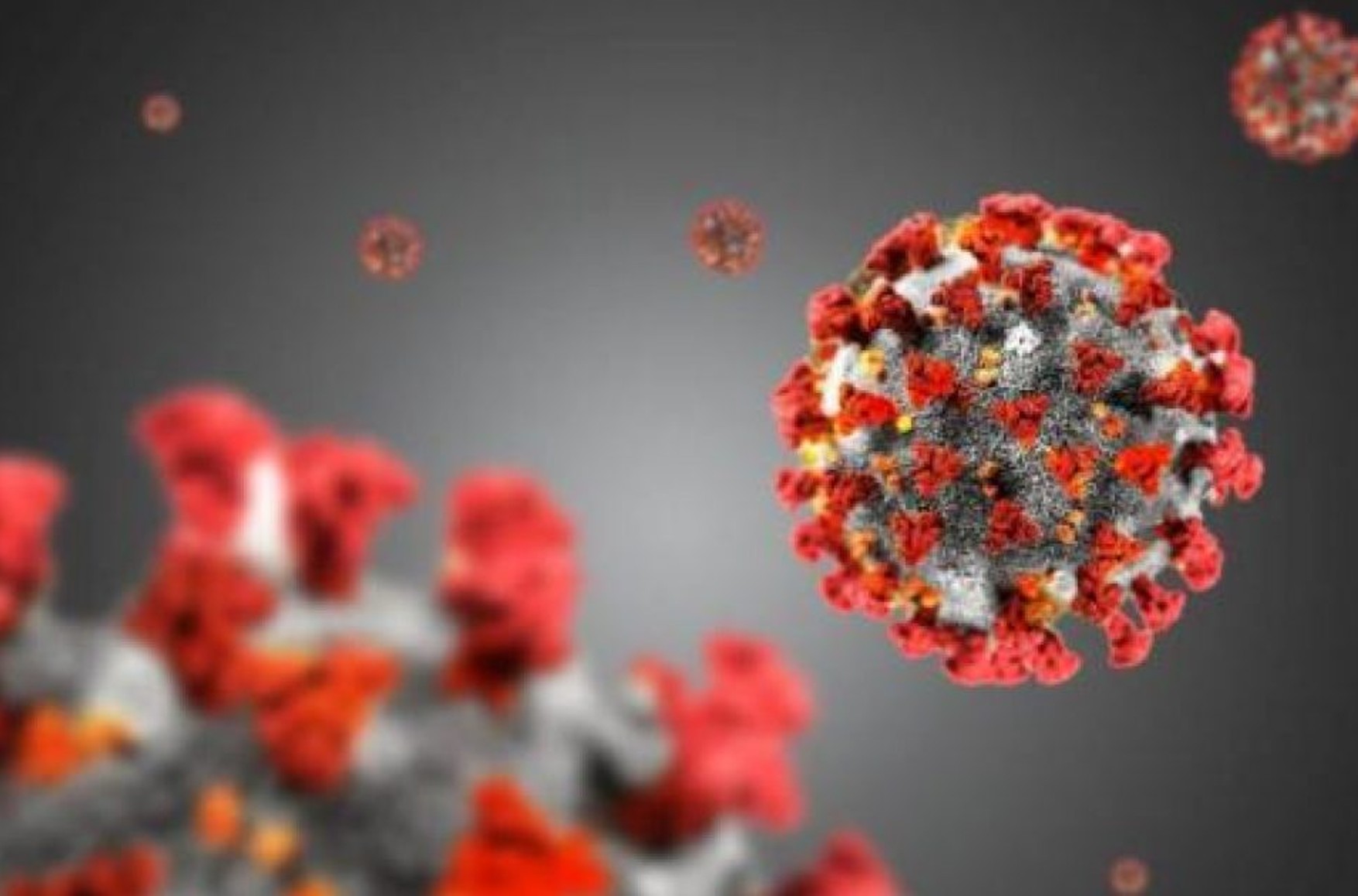 Вчені виявили імунне суперантітело, здатне боротися з різними варіаціями SARS-CoV-2