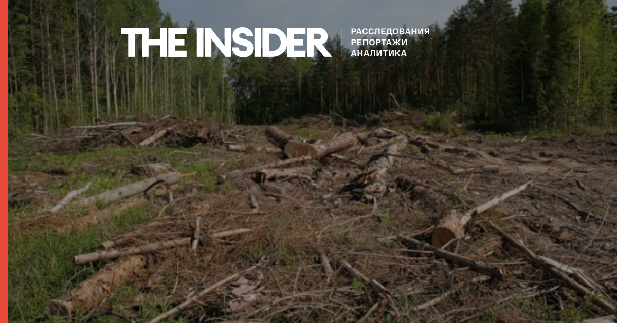 ЗМІ: Іркутський депутат зі списку Forbes причетний до найбільшої незаконну вирубку лісу