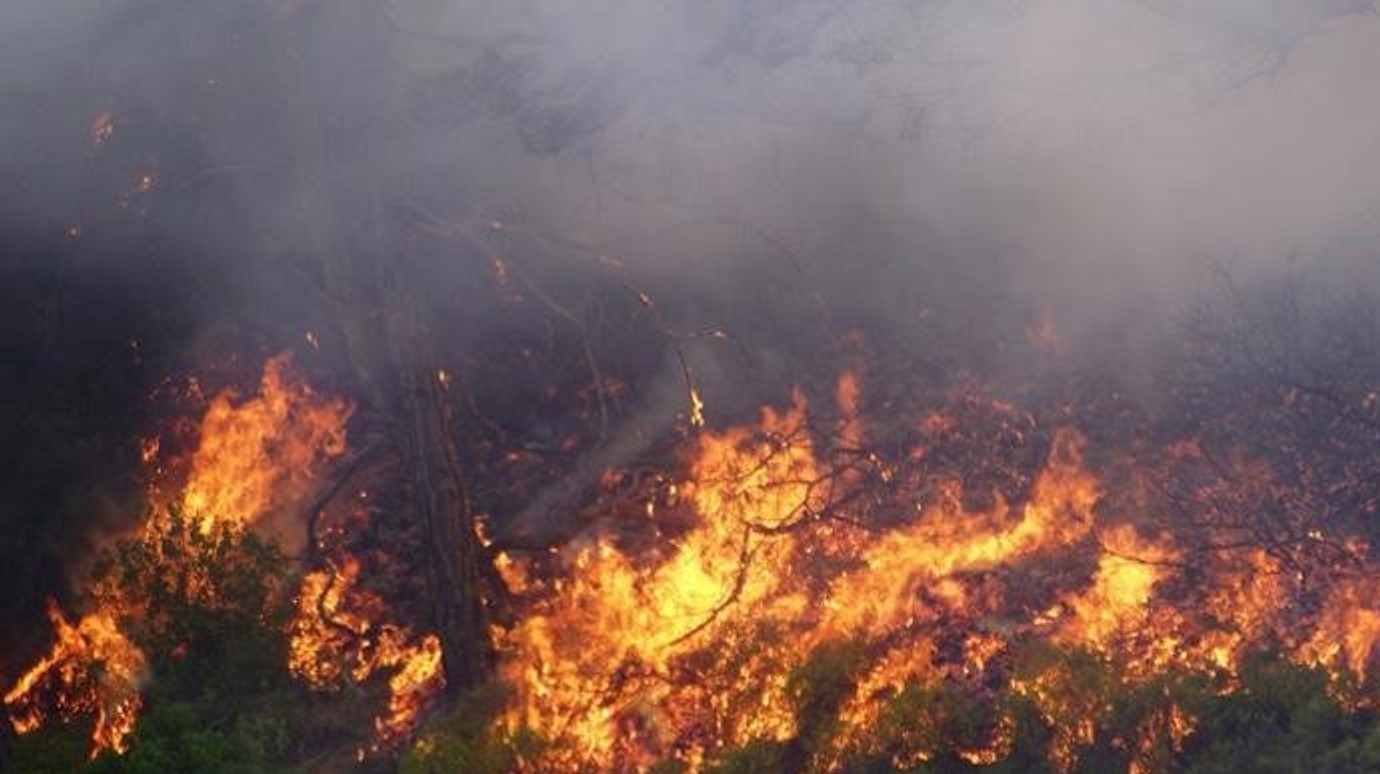 Кіпр звернувся по міжнародну допомогу через сильні лісові пожежі