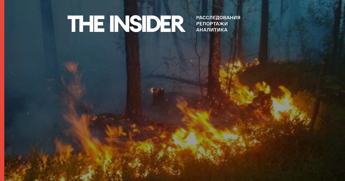 У Карелії палає 33 лісових пожежі