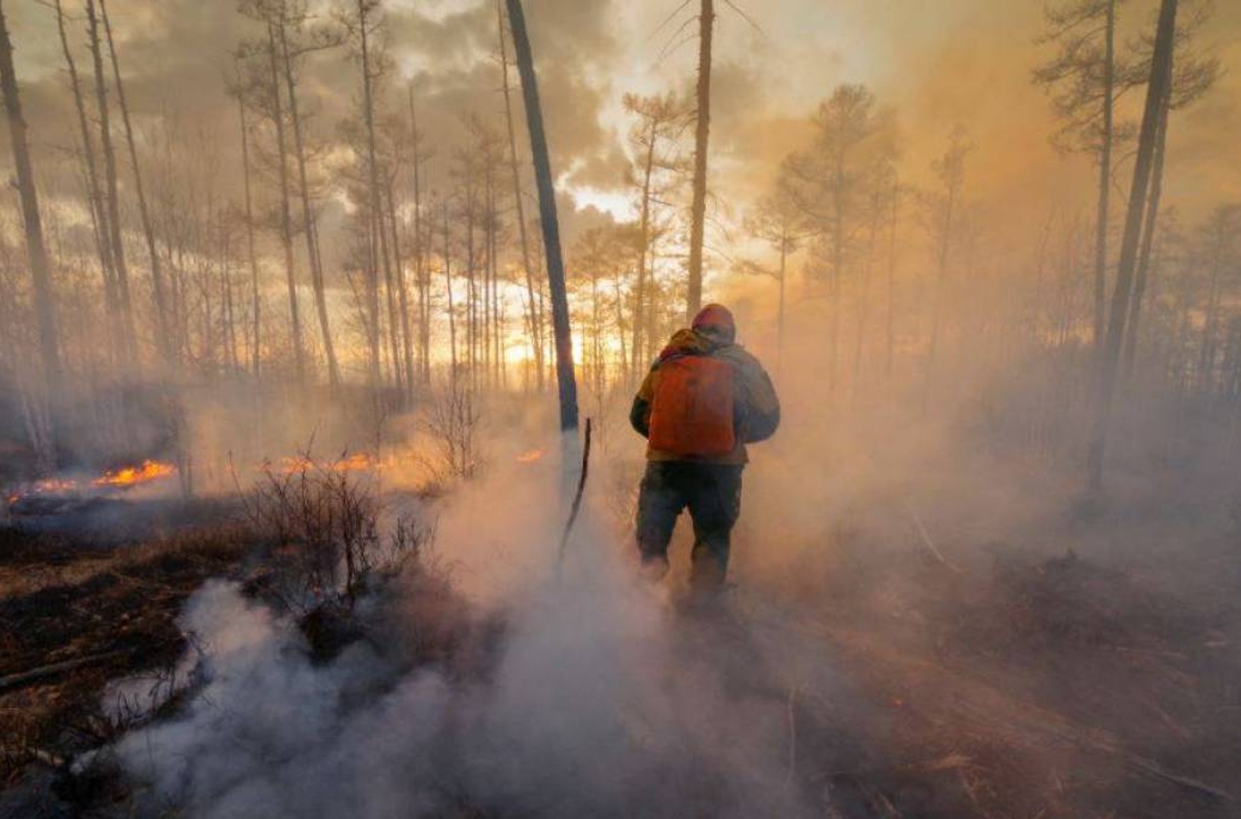 В Якутії сотні студентів відправили на гасіння лісових пожеж