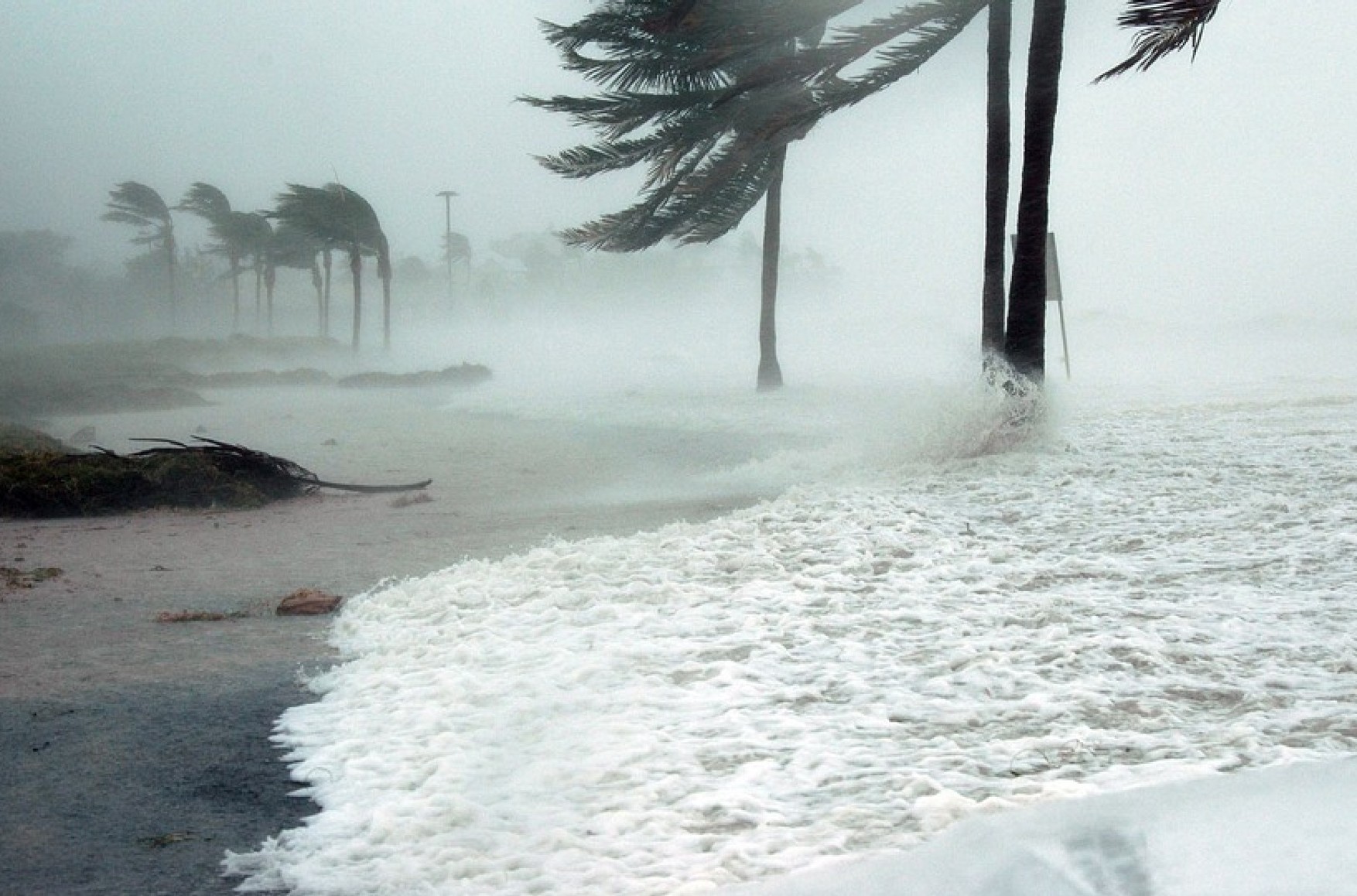 Ураган «Іда» обрушився на Луїзіану. Він потужніший урагану «Катріна», через якого 16 років тому загинули понад 1800 осіб