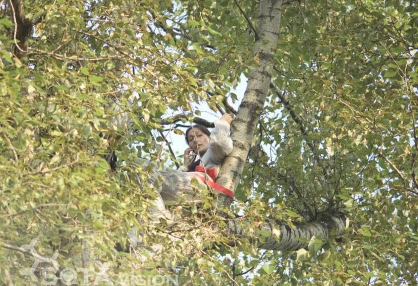 Суд заарештував москвичку з арбалетом, яка виступала проти реновації, прив'язавши себе до дерева на 20-метровій висоті