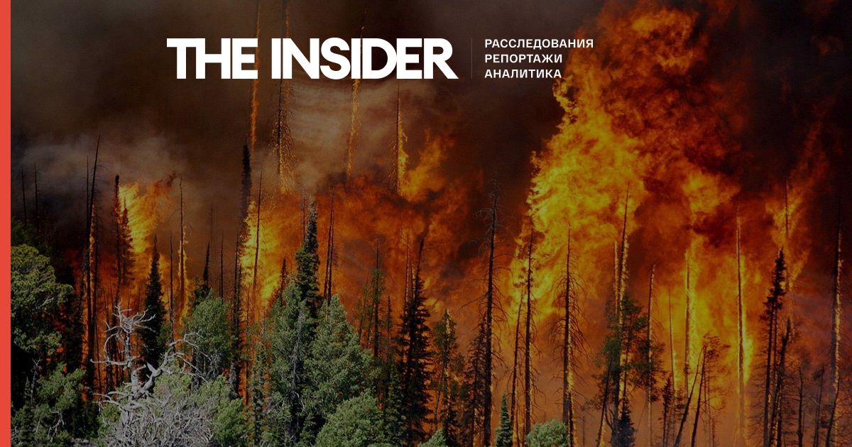 Влада Якутії назвали помилкою прес-служби повідомлення про вирубку лісів для захисту від пожежі