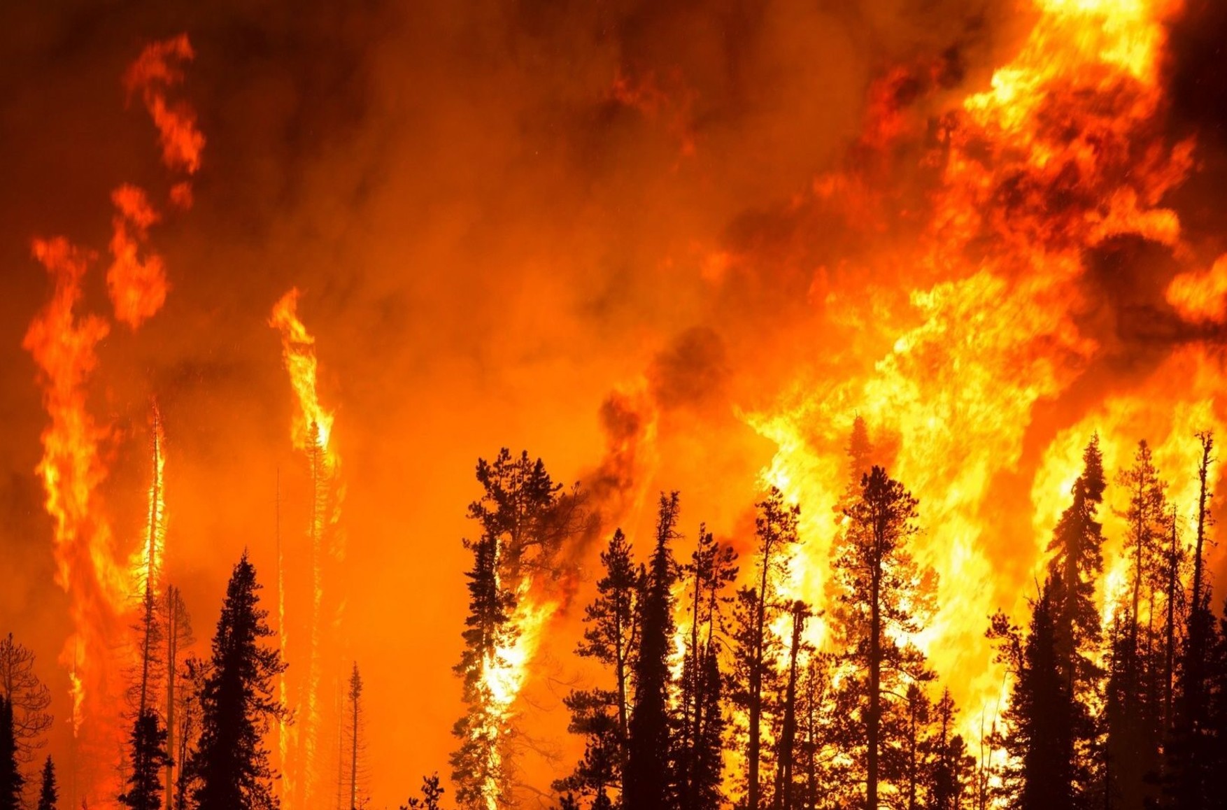 У Росії продовжує горіти 838 тисяч гектарів лісу - «Авіалесоохрана»