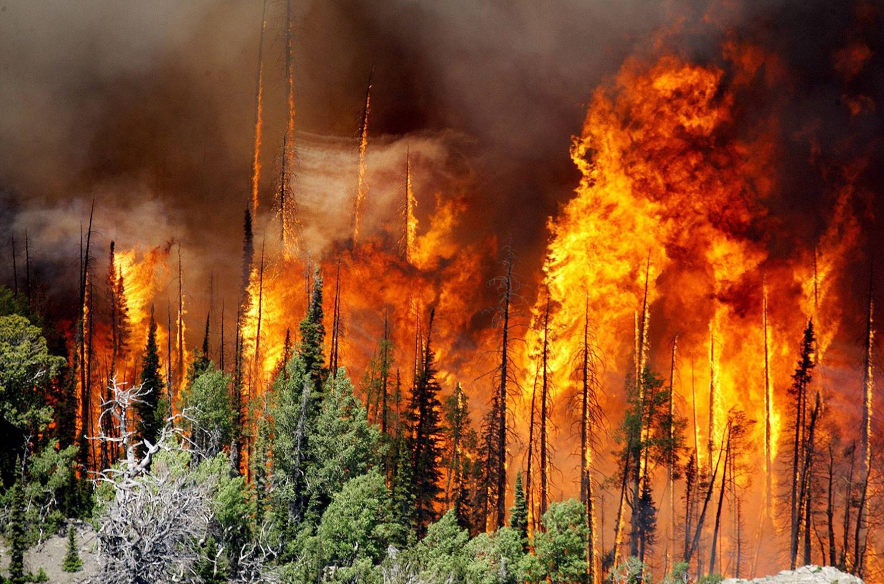 Влада Якутії назвали помилкою прес-служби повідомлення про вирубку лісів для захисту від пожежі