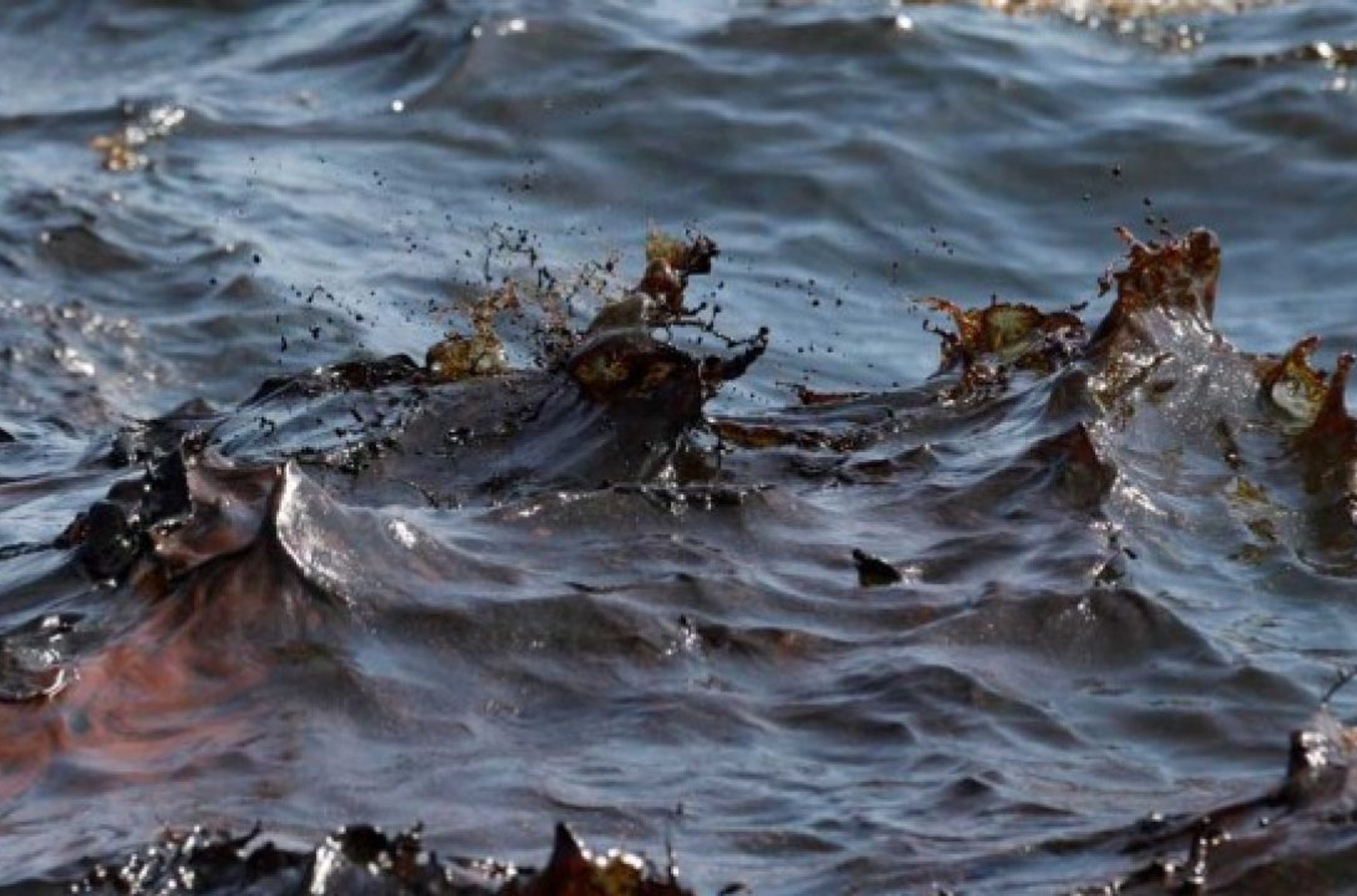 «Розлив нафти в Чорному морі від початку був дуже великий, а тепер спрацював найгірший сценарій» - еколог