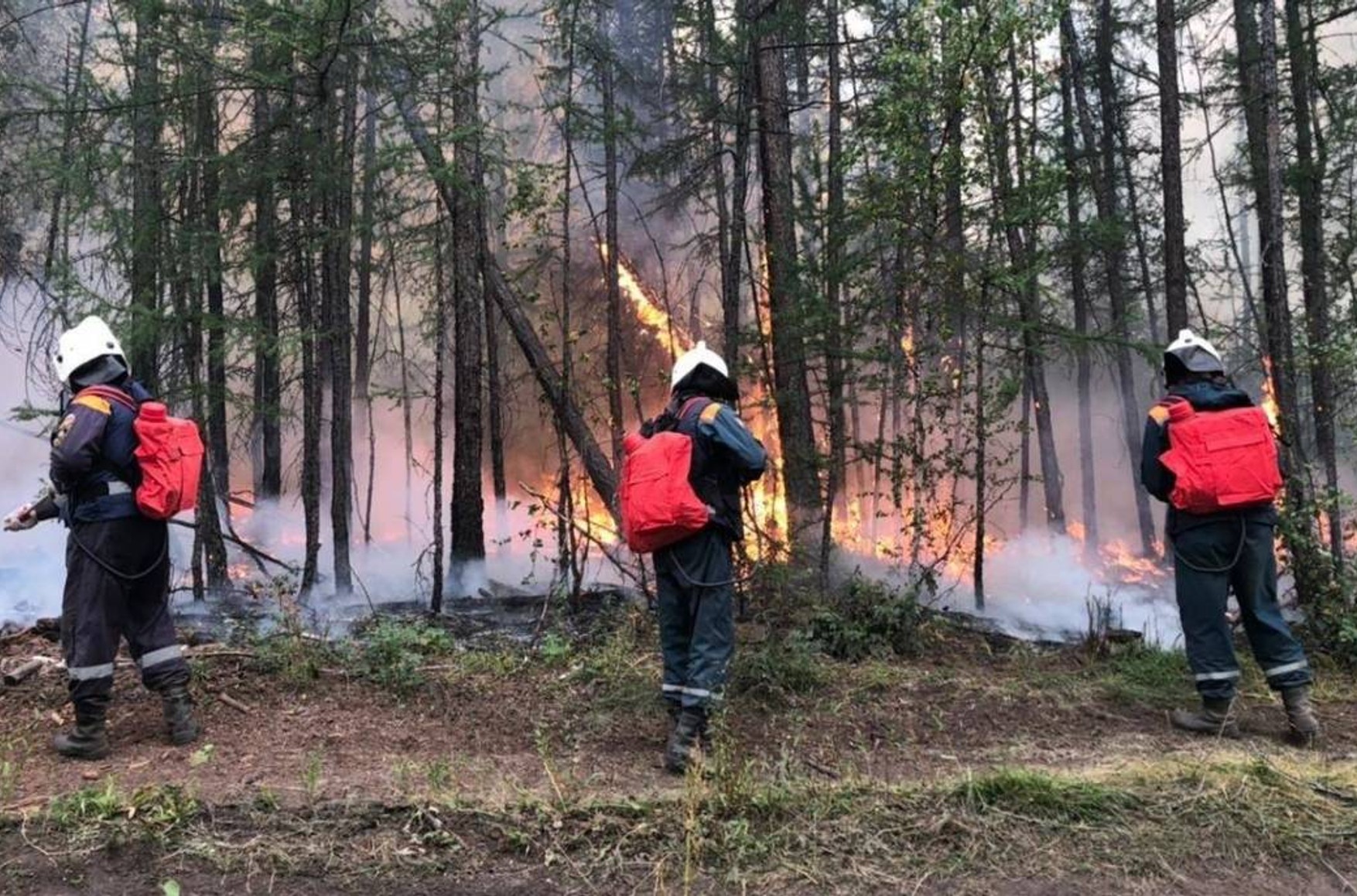 Лісова пожежа перетнув кордон округу «місто Якутськ». У шести районах республіки встановлено найвищий клас пожежонебезпеки