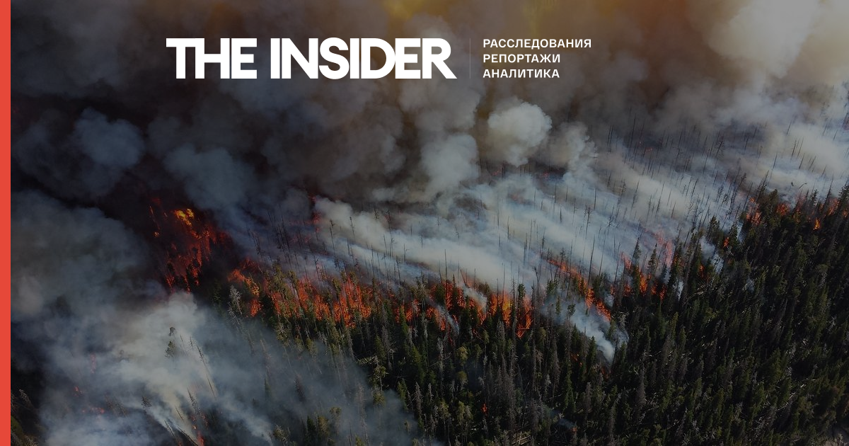 Площа лісових пожеж в цьому році виявилася на 20% більше, ніж роком раніше - віце-прем'єр Абрамченко