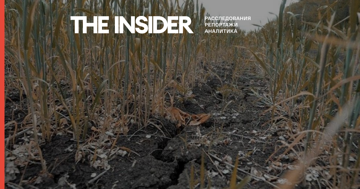 У Чувашії через посуху і загибелі майже половини врожаю ввели режим НС