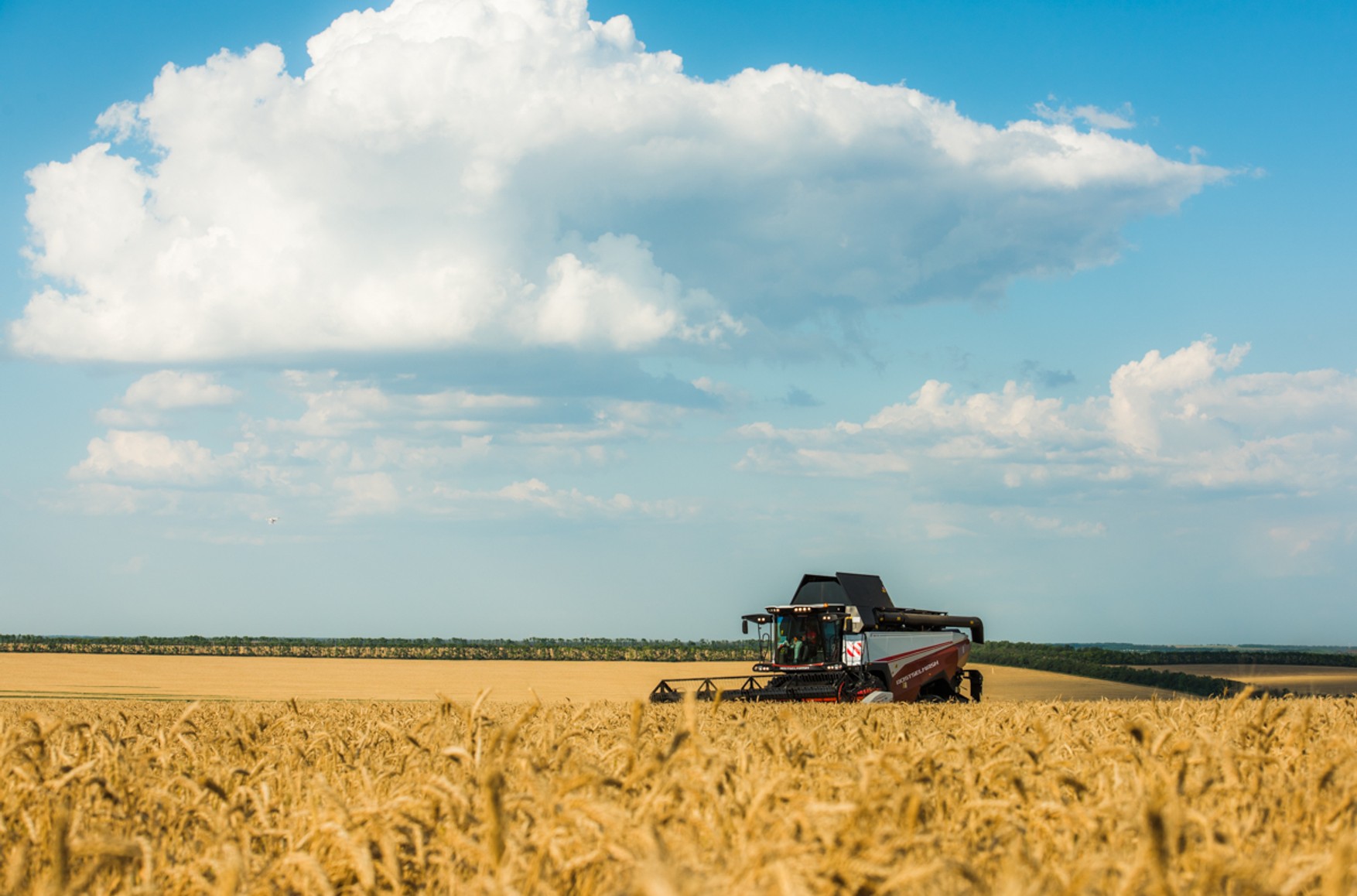 Власти России практически запретили продажу за рубеж зерновых культур и сахара на фоне санкций 