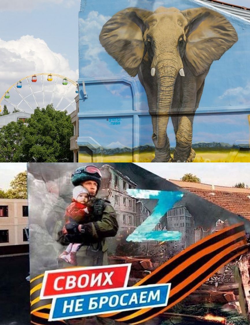 В Пскове и Ставрополе перекрасили желто-синие забор и граффити со слоном в поле