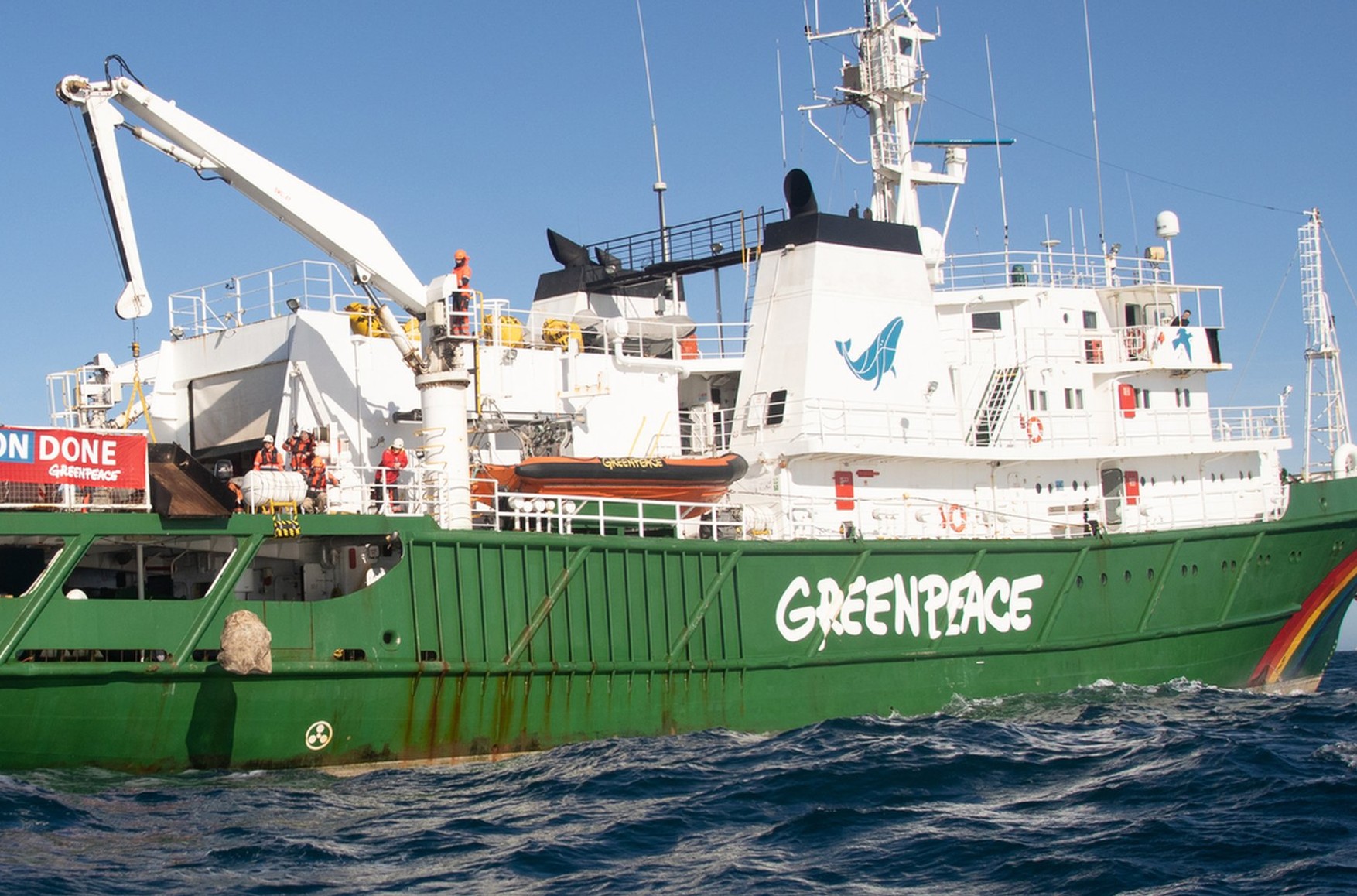 «Ведомости»: Российское экологическое общество просит Минюст признать Greenpeace и WWF «иноагентами»