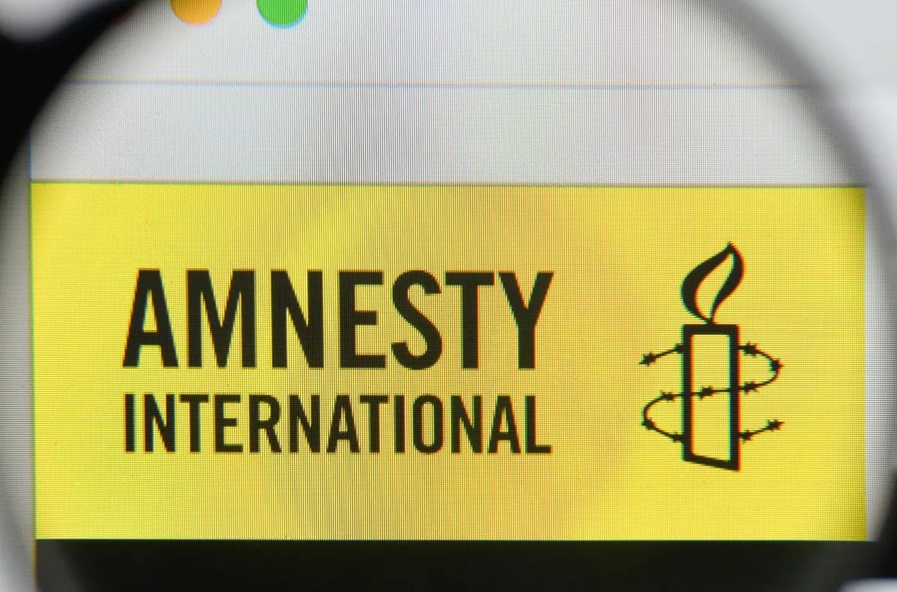 ТАСС: издательство «Просвещение» убрало из своего учебника по английскому языку упоминание Amnesty International