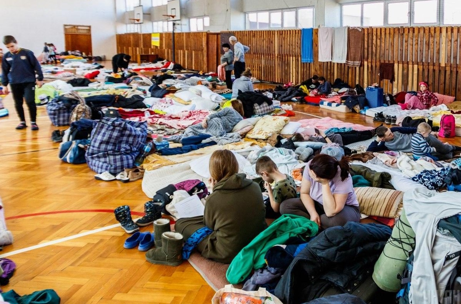 ООН: число вынужденных переселенцев в Украине достигло 8 млн человек