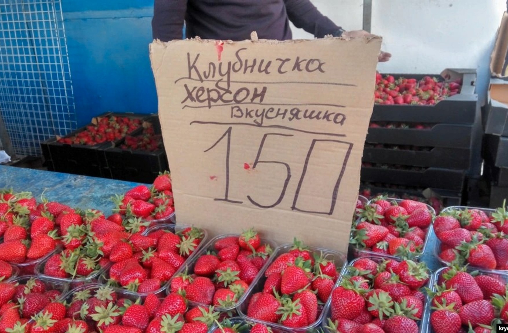 В Севастополе начали продавать овощи и ягоды «из Херсона» и другие украинские продукты