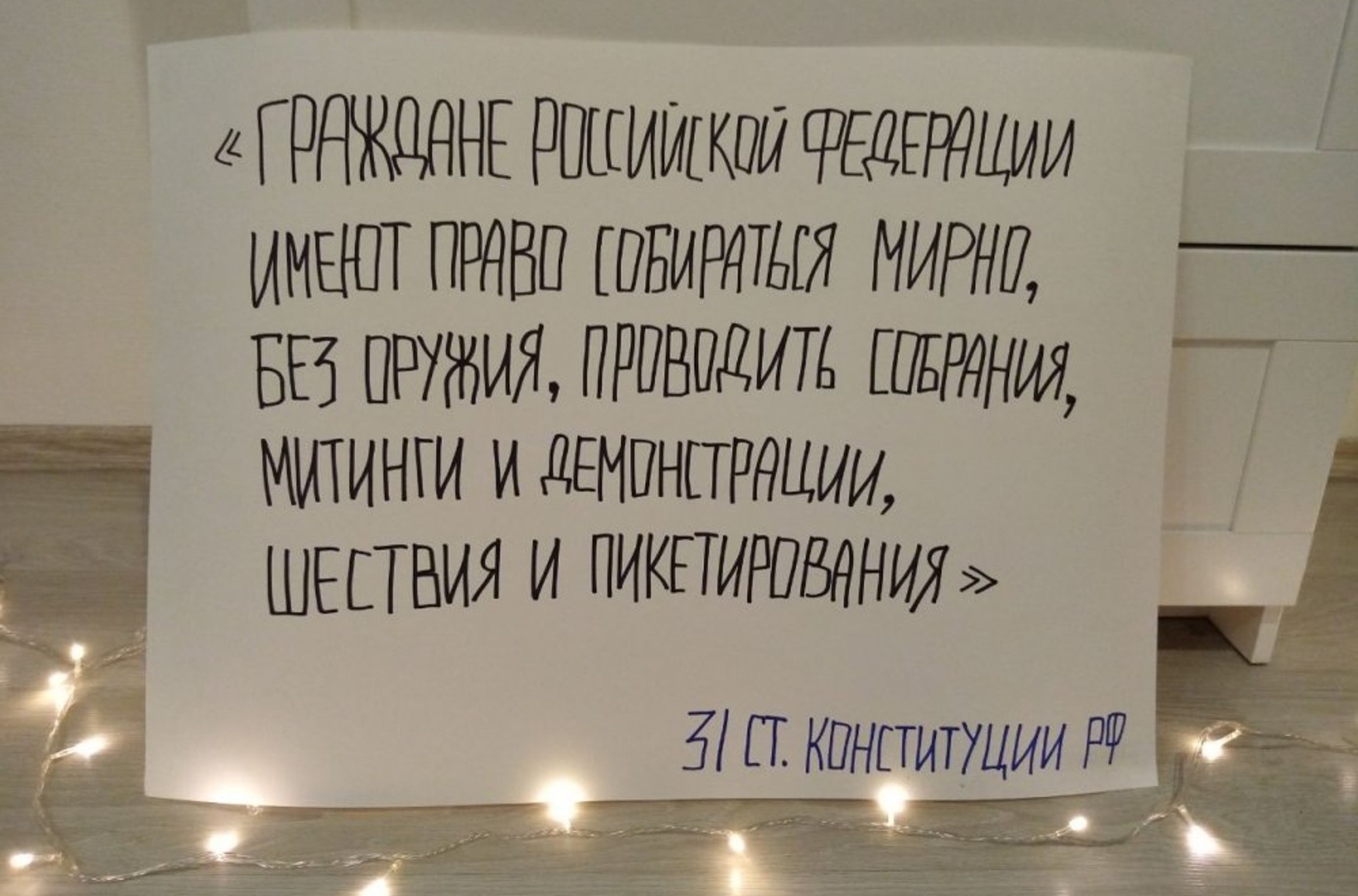 В Екатеринбурге девушку задержали за плакат с цитатой из Конституции