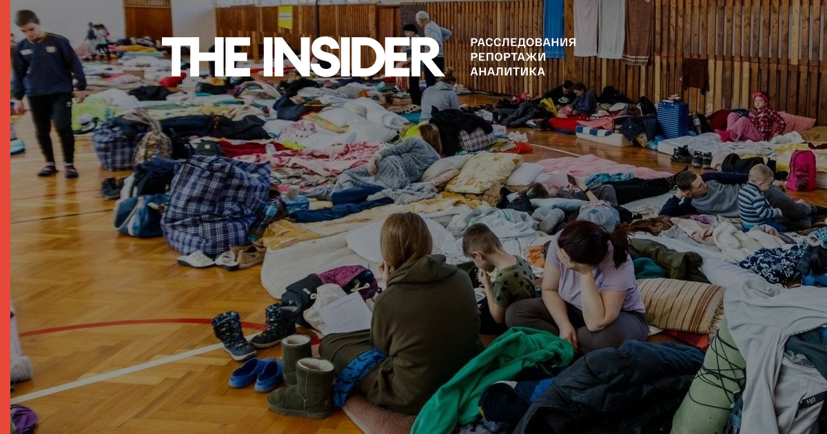 ООН: число вынужденных переселенцев в Украине достигло 8 млн человек